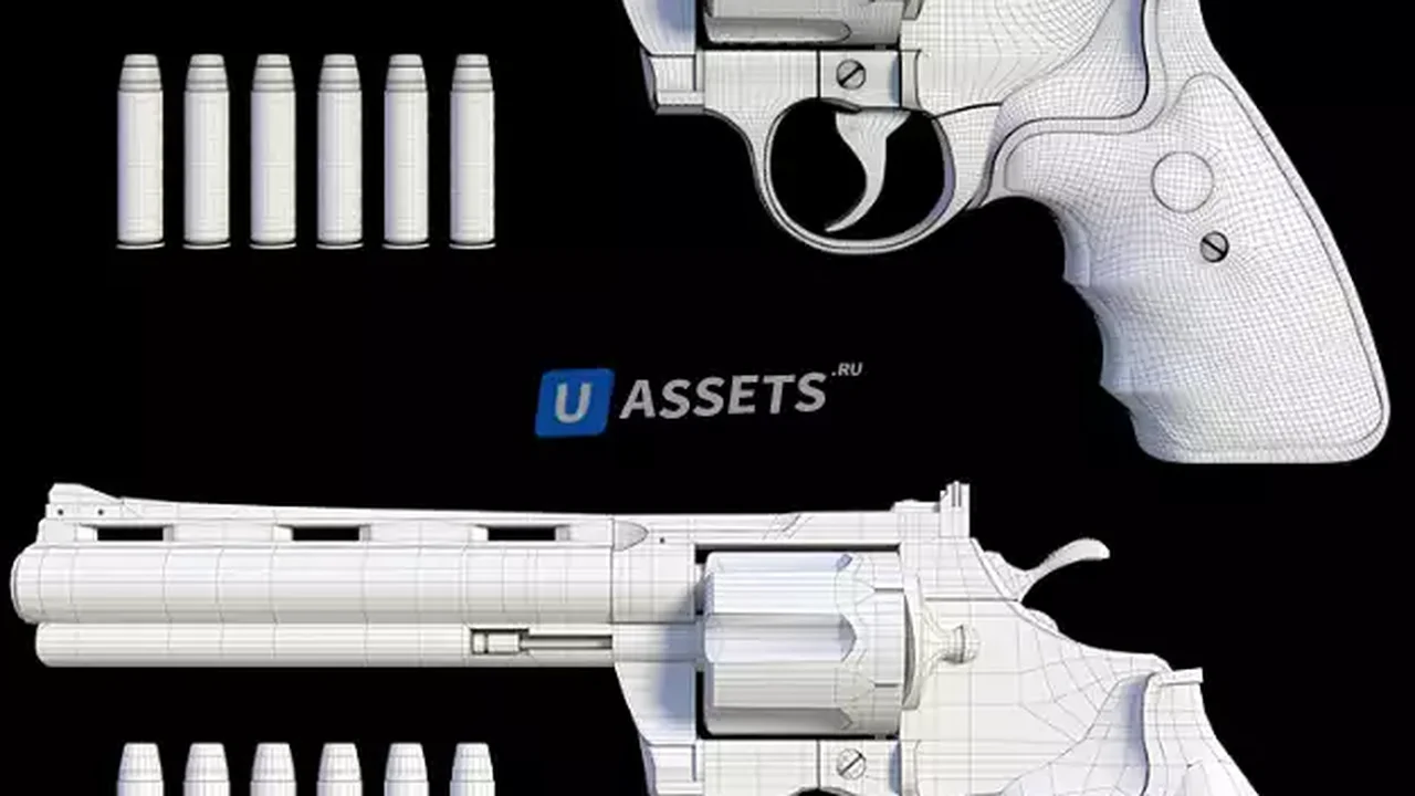 Weapon Case With Revolver